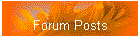 Forum Posts